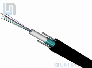 Cáp quang Singlemode 12FO